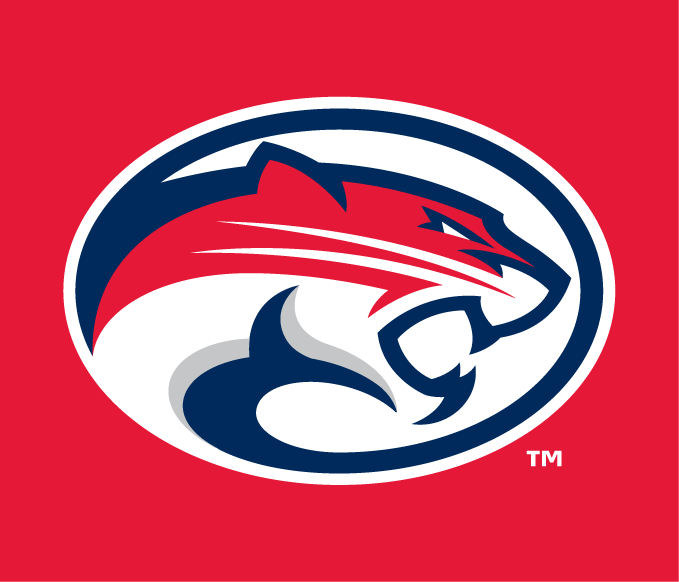 Houston Cougars 2012-Pres Alternate Logo diy fabric transfer